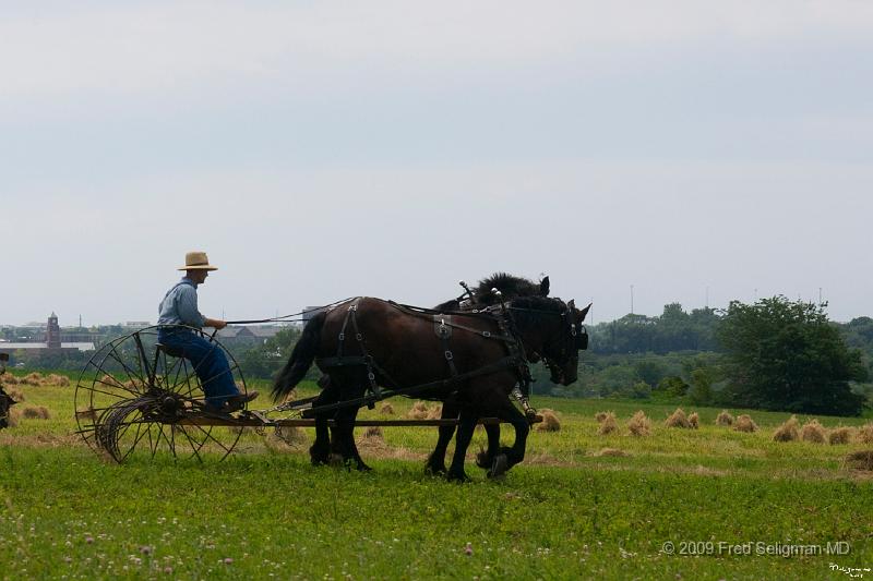 20080715_122302 D300 P 4200x2800.jpg - Living History Farm, Urbandale, Iowa.  Horse drawn plow